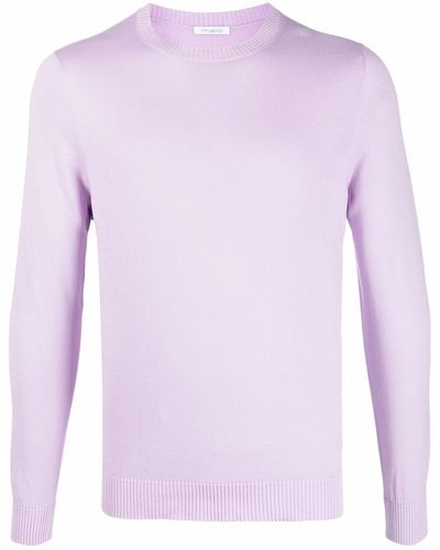 Malo Crew Neck Cotton Sweater - Purple
