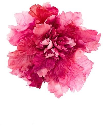 Ann Demeulemeester Large Flower Brooch - Pink