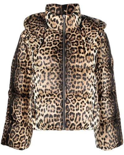 Roberto Cavalli Gefütterte Jacke mit Leoparden-Print - Schwarz