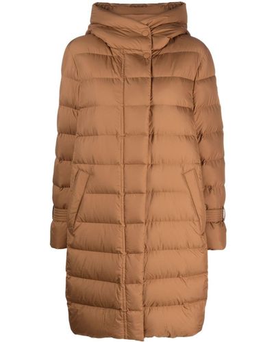 Woolrich Funnel-neck Padded Puffer Jacket - Brown