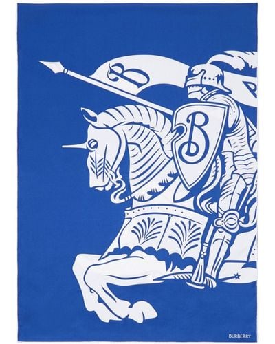 Burberry Sjaal Met Print - Blauw