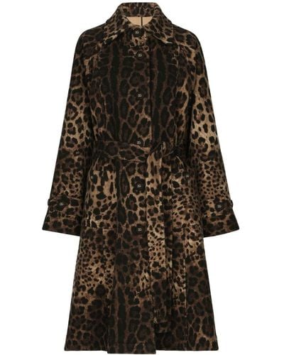 Dolce & Gabbana Leopard-print Belted Single-breasted Coat - Black
