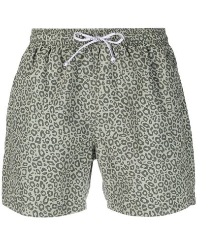 Closed Leopard-print Swim Shorts - Grey
