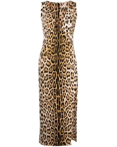 Roberto Cavalli Leopard-print Plunge Midi Dress - Metallic