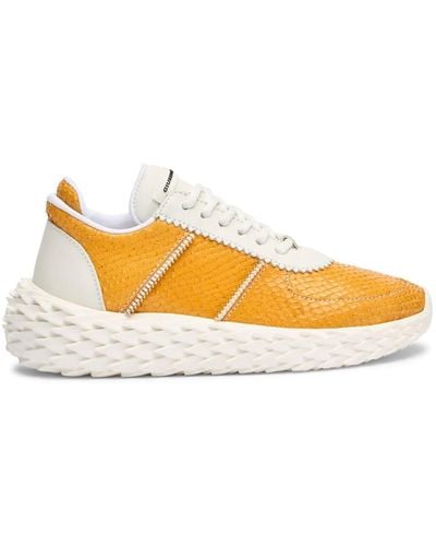 Giuseppe Zanotti Urchin Leather Sneakers - Orange