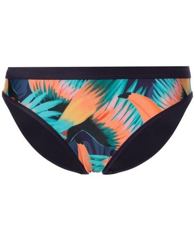 Duskii Tropical-print Bikini Bottom - Blue