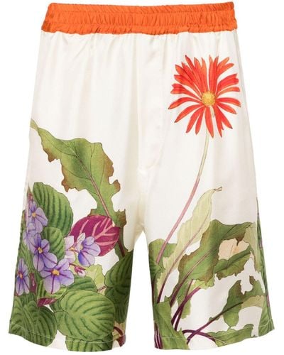 Pierre Louis Mascia Aloe Floral-print Silk Shorts - Green