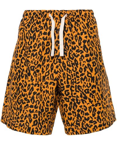Palm Angels Leopard-Print Poplin Shorts - Yellow