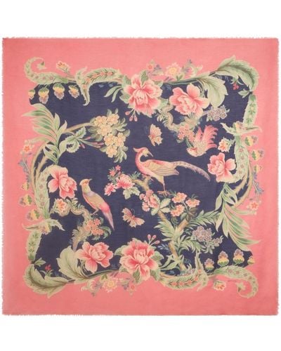 Etro Bird-print Cashmere Scarf - Pink