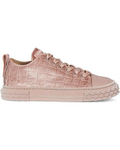 Giuseppe Zanotti Blabber Velvet Low-top Sneakers - Pink