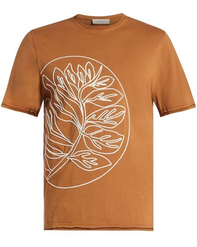 Qasimi Graphic-print Cotton T-shirt - Brown