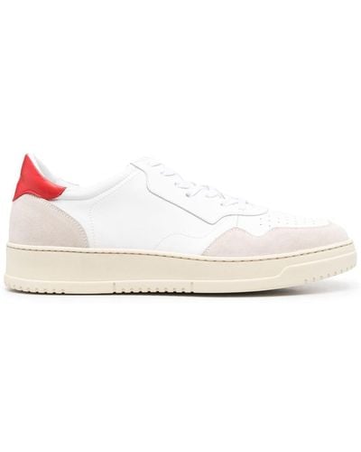 SCAROSSO Alex Low-top Sneakers - Pink
