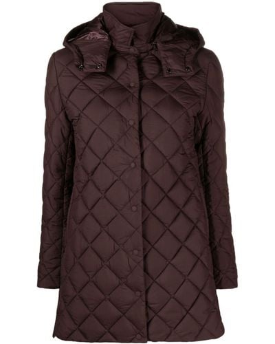 Save The Duck Edith Logo-patch Quilted Jacket - Brown