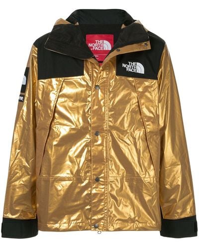 Supreme X The North Face Mountain Hooded Jacket - Metallic