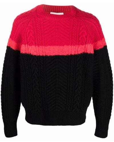 Alexander McQueen Andere materialien sweater - Schwarz