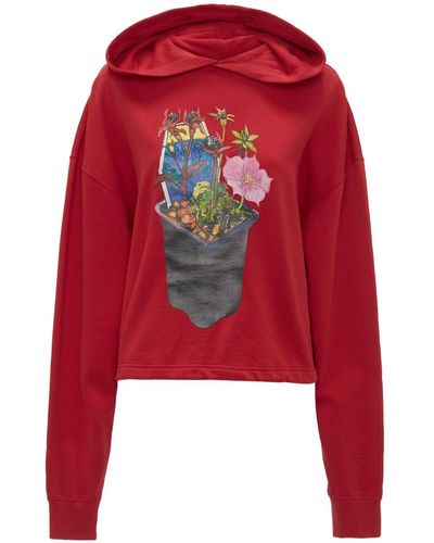 JW Anderson Graphic-print Organic Cotton Hoodie - Red