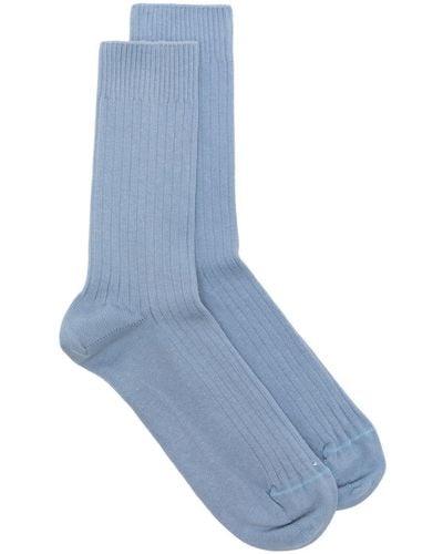 Baserange Calf-length Ribbed Socks - Blue