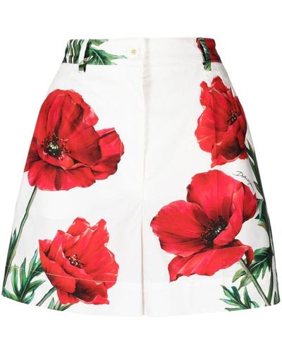 Dolce & Gabbana Poppy-print Poplin Shorts - Red