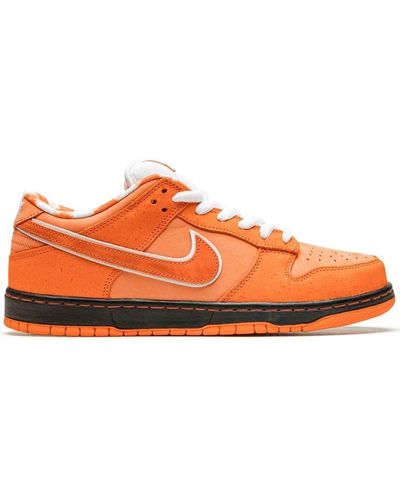 Nike X Concepts Sb Dunk Low "orange Lobster Special Box" Trainers