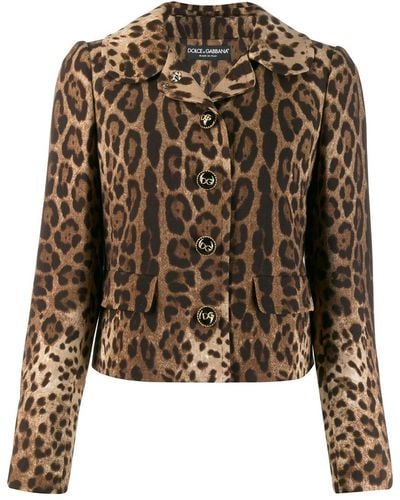 Dolce & Gabbana Jacke mit Leoparden-Print - Mehrfarbig