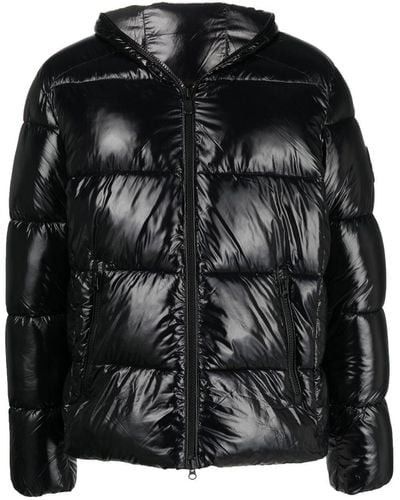 Save The Duck Edgard Hooded Padded Jacket - Black