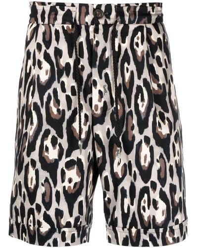 Roberto Cavalli Leopard Print Bermuda Shorts - Black