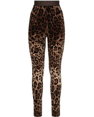 Dolce & Gabbana Leggings mit Leoparden-Print - Braun