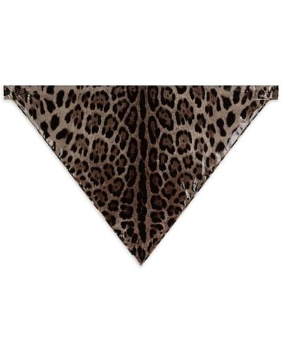 Dolce & Gabbana Leopard-print Silk Headscarf - Black