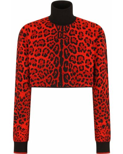 Dolce & Gabbana Leopard-print Cropped Knit Sweater - Red