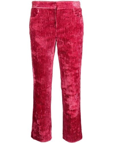 Isabel Marant Mid-rise Corduroy Cropped Trousers - Red