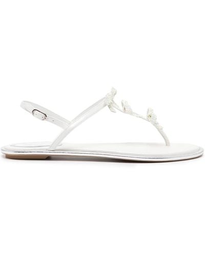 Rene Caovilla Bow-appliqué Leather Sandals - White