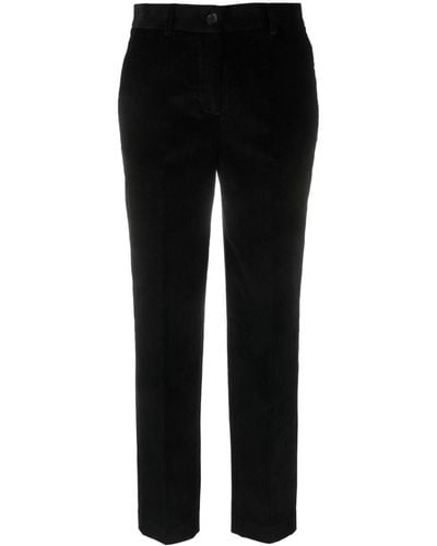 P.A.R.O.S.H. Tapered Stretch-cotton Corduroy Trousers - Black