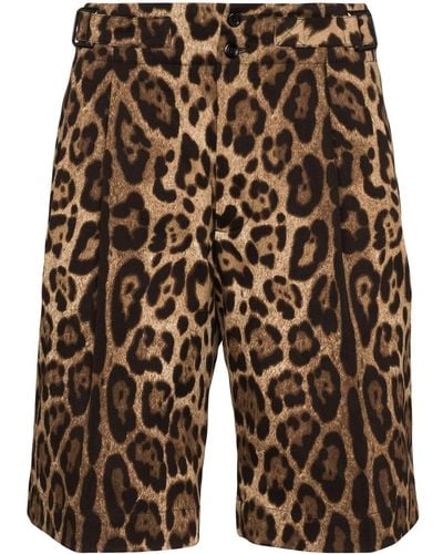 Dolce & Gabbana Leopard-print Bermuda Shorts - Brown