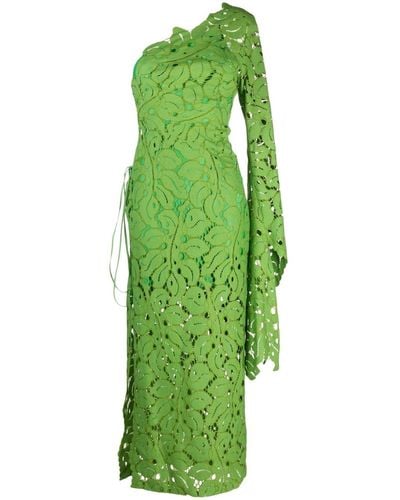 Maria Lucia Hohan Hart Floral-lace One-shoulder Dress - Green