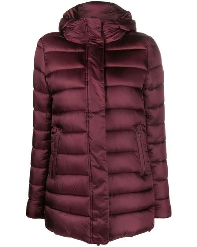 Save The Duck Drimia Hooded Puffer Jacket - Red