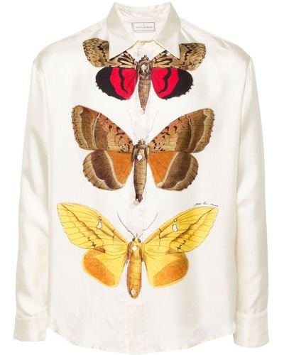 Pierre Louis Mascia Moth-print Silk Shirt - Gray