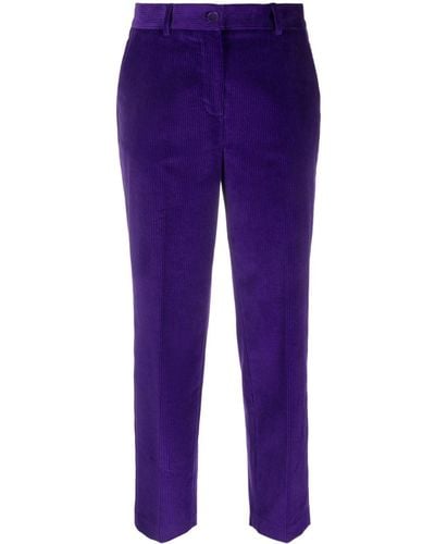 P.A.R.O.S.H. Tapered Stretch-cotton Corduroy Pants - Purple