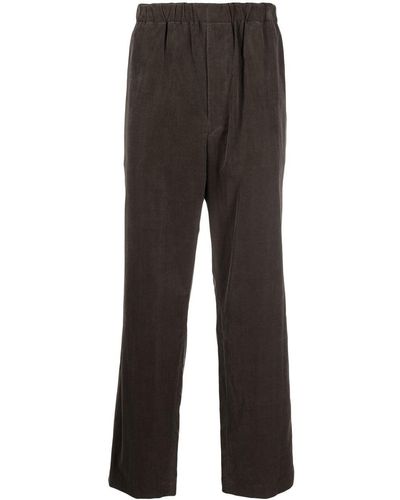 AURALEE Pantalon en coton à coupe droite - Noir