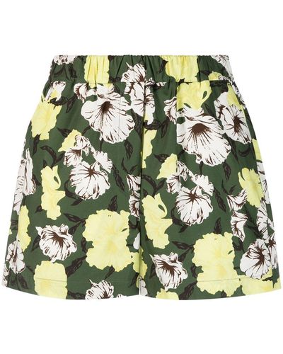 MSGM Floral-print Cotton Shorts - Green