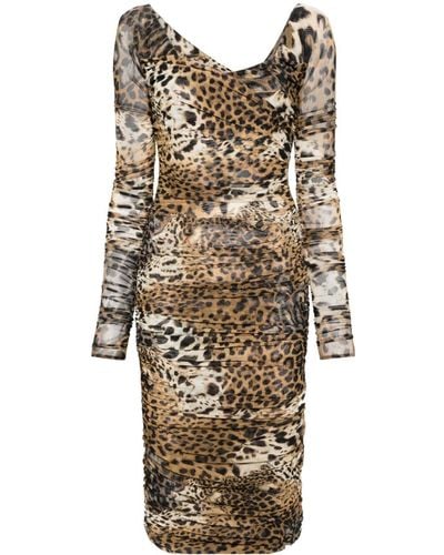 Roberto Cavalli Leopard-print Mesh Midi Dress - Natural