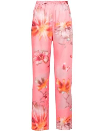 MSGM Floral-print Straight-leg Trousers - Red
