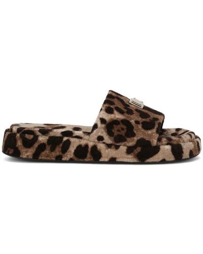 Dolce & Gabbana Zapatos slippers con estampado de leopardo - Marrón