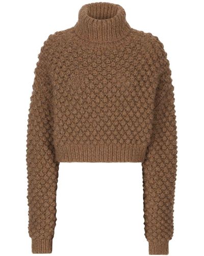 Dolce & Gabbana Roll-neck Cropped Sweater - Brown