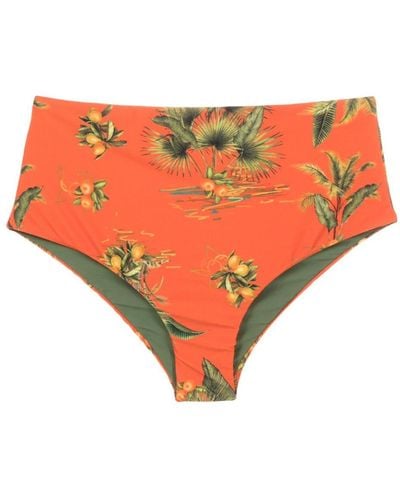 Lygia & Nanny Violeta Botanical-print Bikini Bottoms - Orange