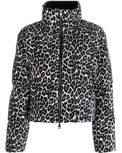 Moncler Cheetah-print Padded Puffer Jacket - Black