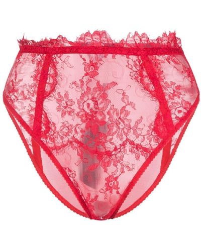 Dolce & Gabbana Lace High-waisted Briefs - Pink