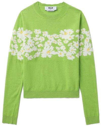 MSGM Daisy-intarsia Sweater - Green