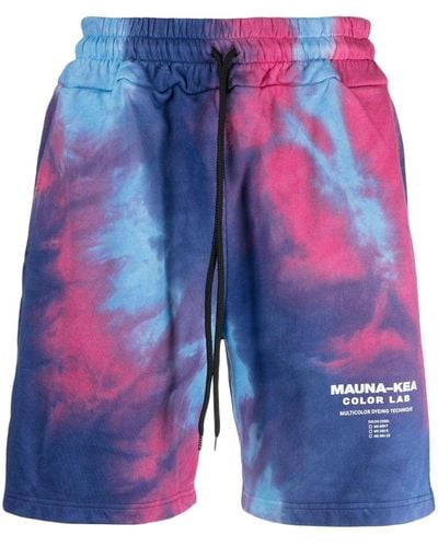 Mauna Kea Shorts Met Print - Blauw