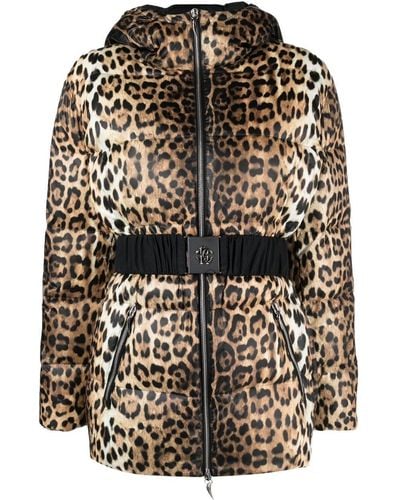 Roberto Cavalli Leopard-print Padded Jacket - Black