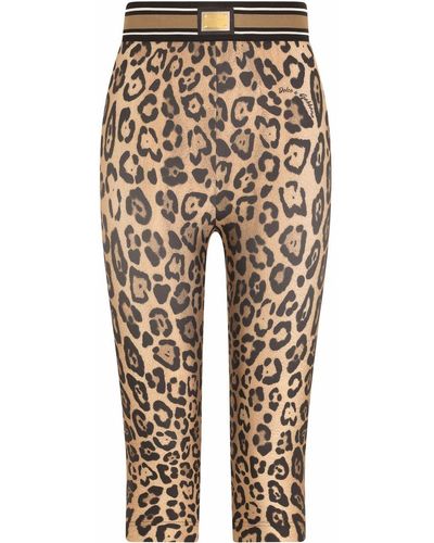 Dolce & Gabbana Leopard-print Cropped leggings - Brown